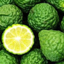 Bergamot Essential Oil